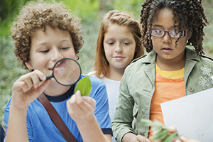 Children look at green leaf through magnifying glass