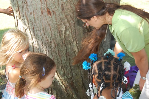 3-students-looking-at-tree-with-teacher