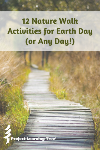 12 Nature walk activities for Earth Day (or any day!)