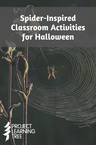 Spider-inspired classroom activities for halloween