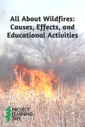 All about wildfires: causes, effects, and educational activities