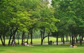 park with trees that people are sitting under