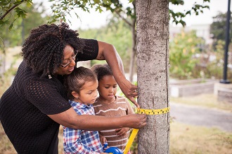 Teacher and two students measuring a tree with measuring tape