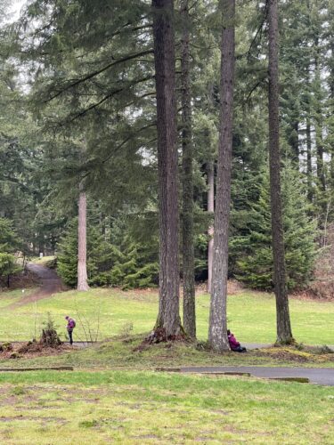 Two people under trees